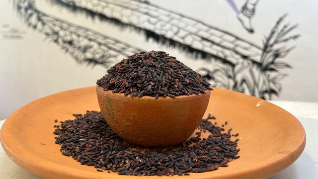 Organic Karuppu Kavni / Black Kavuni rice